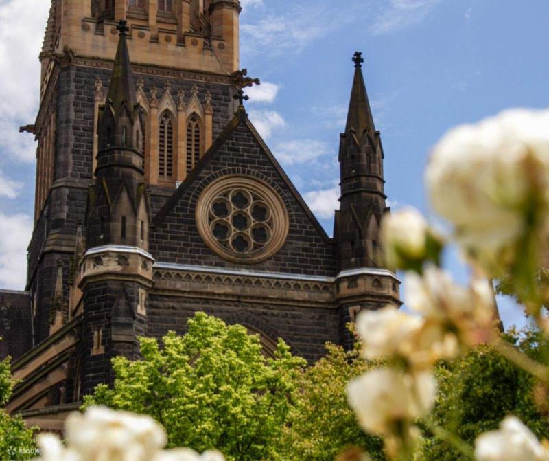 melbourne-magic-city-discovery-penguin-parade-t-2