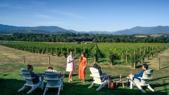 Yarra Valley Grazing Tour