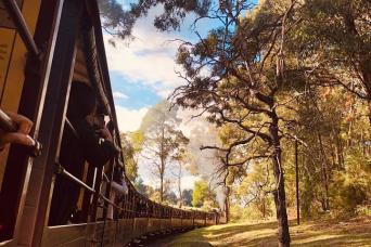 Puffing Billy, Forest Trails & Yarra Valley