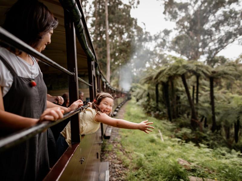 puffing-billy-forest-trails-yarra-valley-2