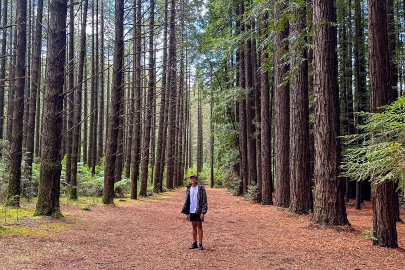 puffing-billy-forest-trails-yarra-valley-4