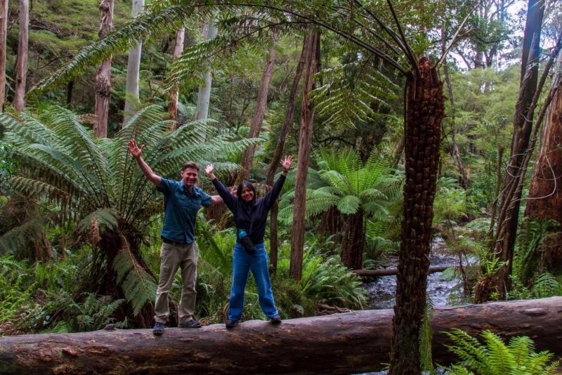 puffing-billy-forest-trails-yarra-valley-5