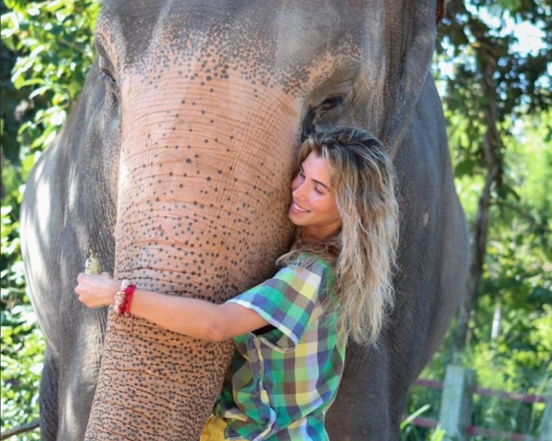 chiang-mai-elephant-sanctuary-tour-1