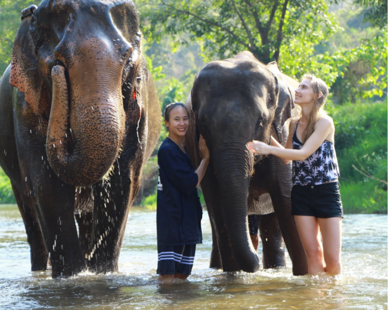 chiang-mai-elephant-sanctuary-tour-3