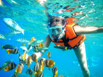 Panglao Island Land Tour with Napaling Sardines Ru