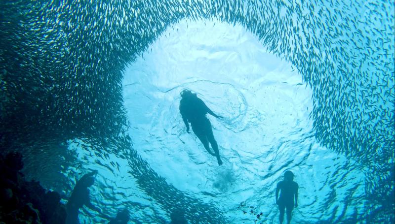 panglao-island-land-tour-with-napaling-sardines-ru-8
