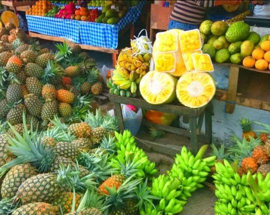 tagaytay-day-tour-with-lunch-private-3