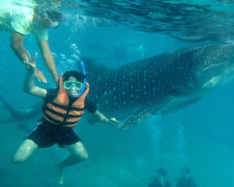 cebu-to-panglao-whale-sharks-island-journey-pr-3