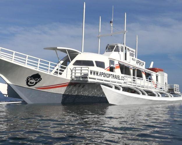 cebu-to-panglao-whale-sharks-island-journey-pr-6