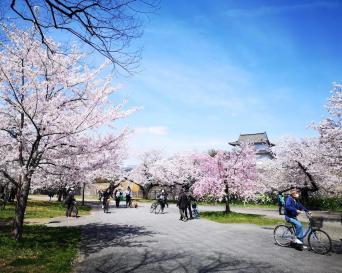 Full Day Osaka Tour with Multilingual Speaking Gui