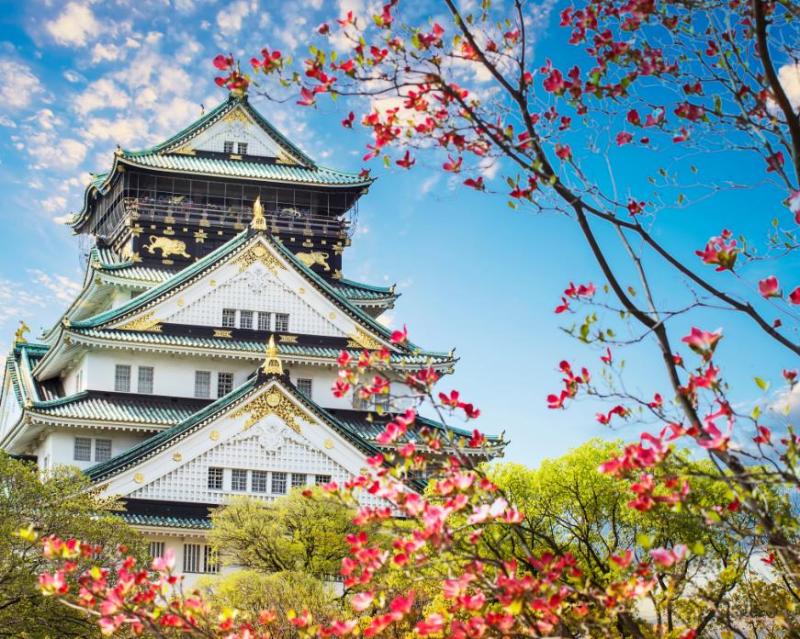 full-day-osaka-tour-with-multilingual-speaking-gui-2