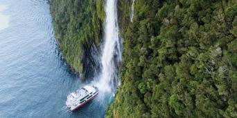 Milford Sound Coach & Nature Cruise from Queenstow