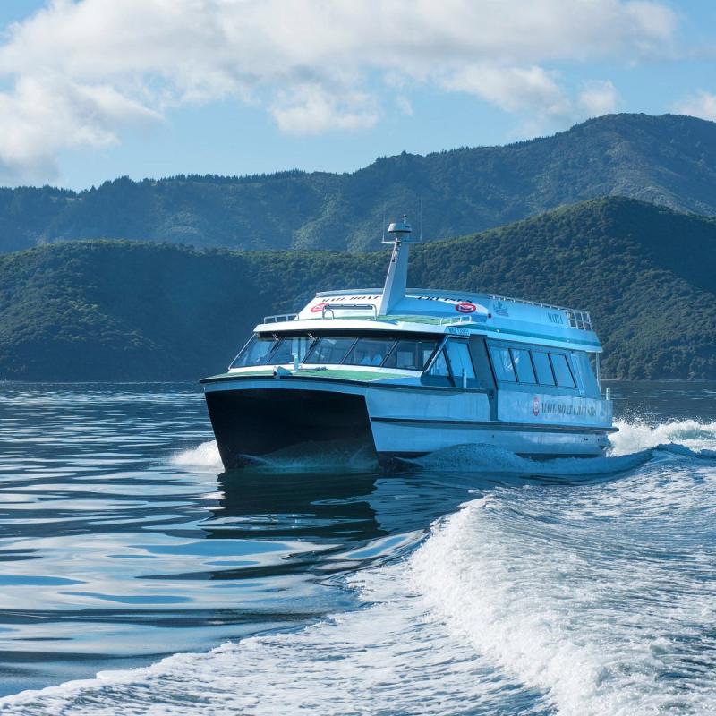 ship-cove-cruise-5