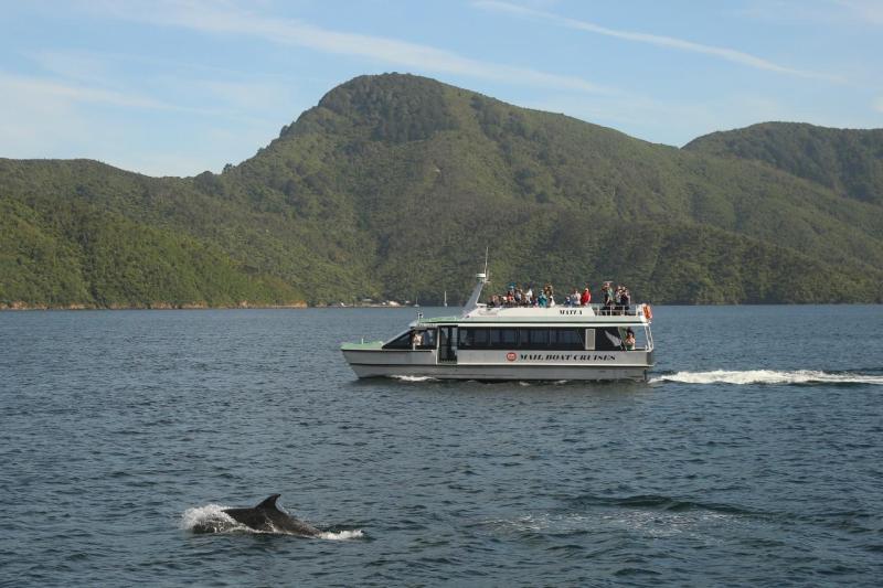 motuara-island-bird-watchers-cruise-3