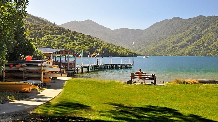 day-in-the-sounds-at-furneaux-lodge-or-punga-cove-2