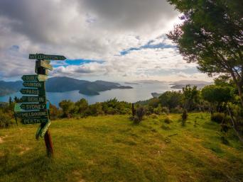 Day Walk: Torea Bay to Punga Cove