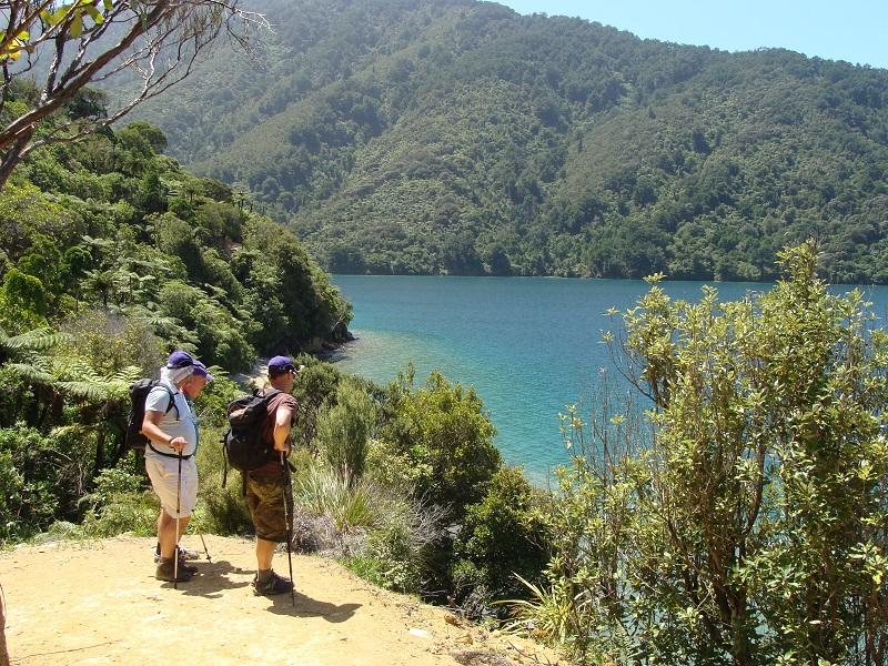 day-walk-torea-bay-to-punga-cove-3