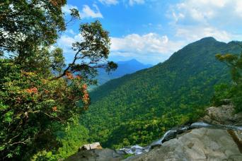 Full Day Bach Ma National Park - Private
