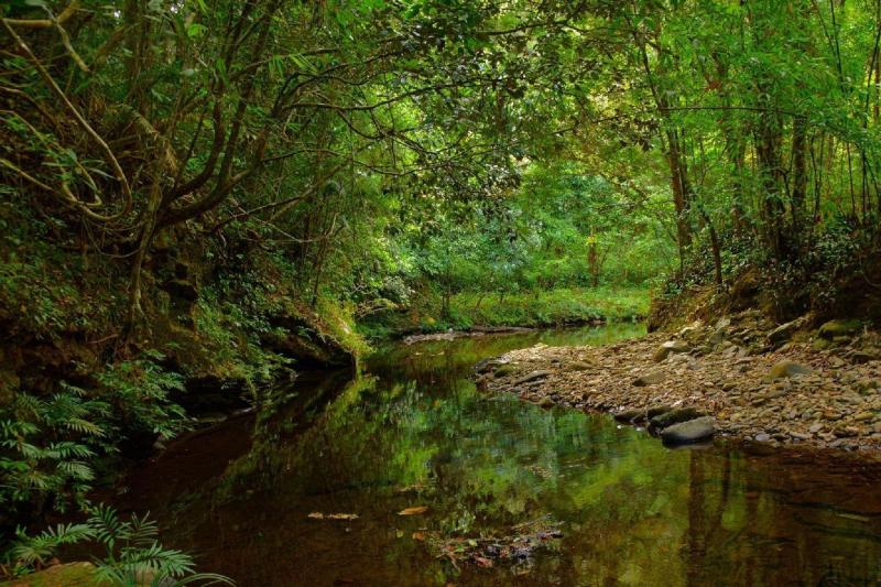 full-day-bach-ma-national-park-private-2
