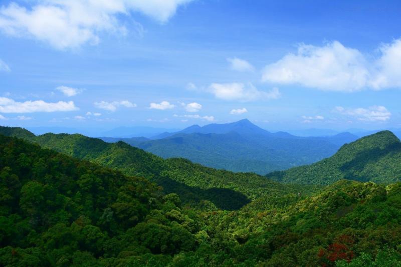full-day-bach-ma-national-park-private-3