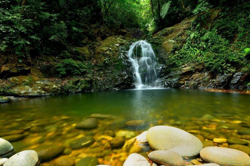 full-day-bach-ma-national-park-private-4