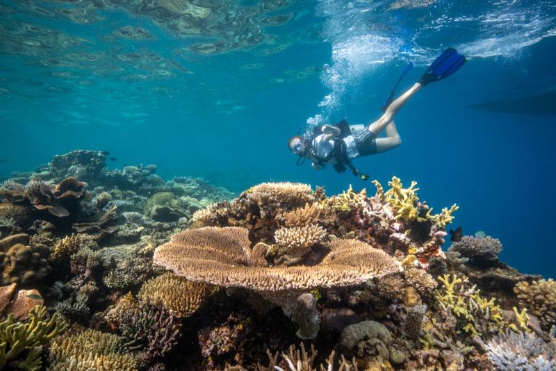 captain-cook-cruises-fiji-island-and-reef-day-sa-1