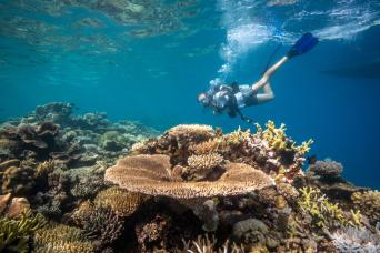Captain Cook Cruises Fiji - Island and Reef Day Sa