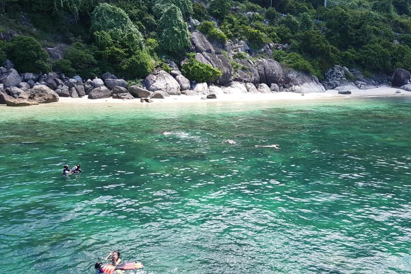 full-day-cham-island-discovery-small-group-tour-2