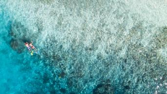 Captain Cook Cruises Combo: Day Sail & Dinner Crui