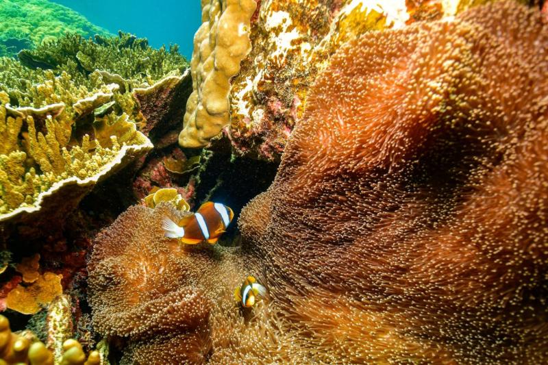 fly-outer-reef-fly-return-with-nautilus-aviation-4