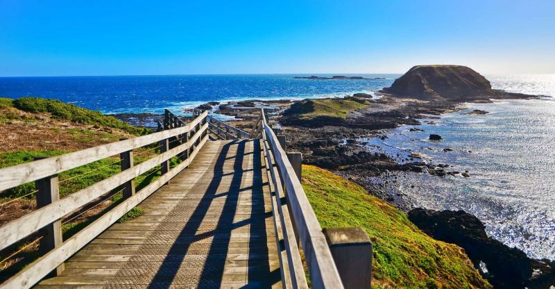 small-group-bus-tour-phillip-island-wildlife-and-brighton-beach-3