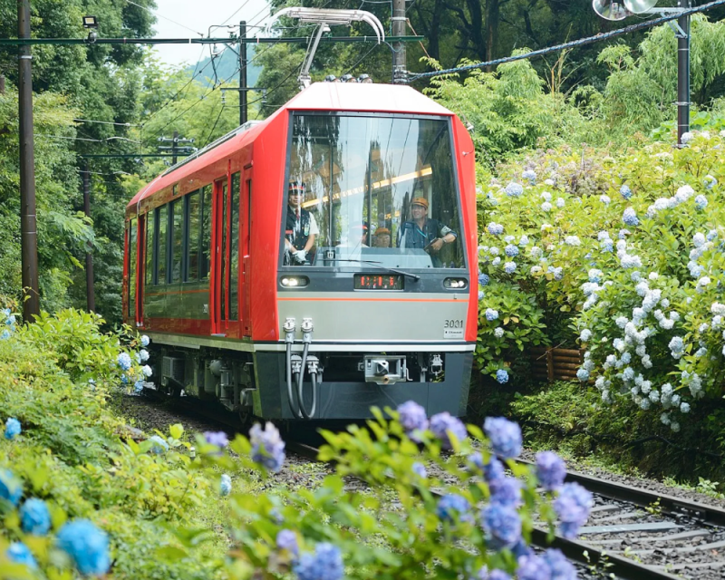 odawara-hakone-free-pass-2-days-or-3-days-1