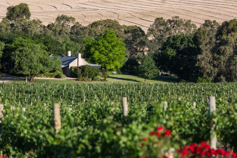private-barossa-valley-experience-from-adelaide-1