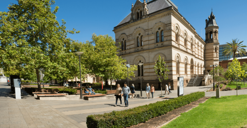 adelaide-city-highlights-half-day-small-group-tou-2