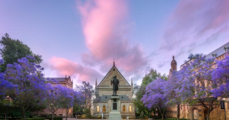 adelaide-city-highlights-half-day-small-group-tou-3