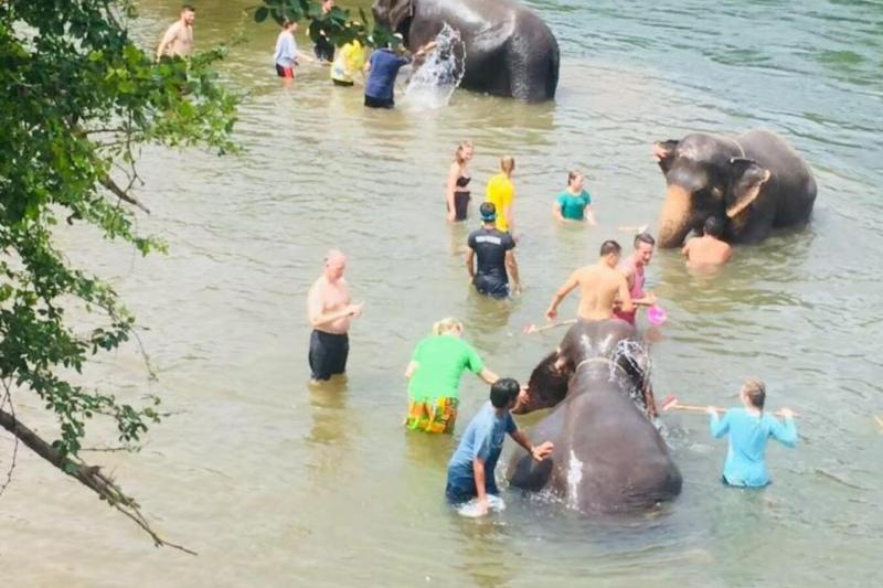 elephant-experience-kanchanaburi-from-bangkok-2