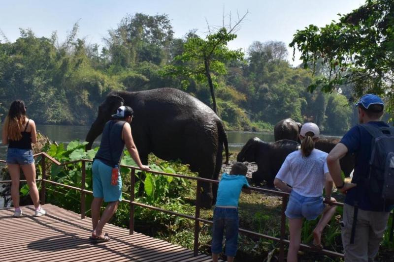 elephant-experience-kanchanaburi-from-bangkok-3