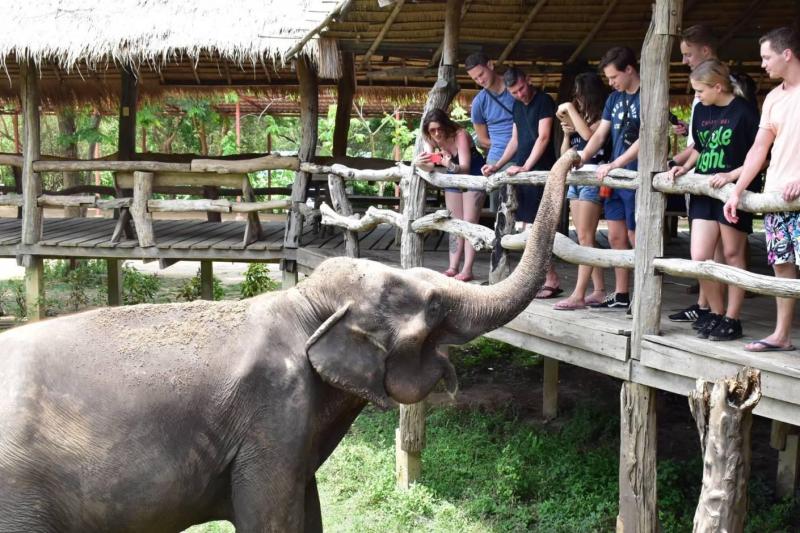 elephant-experience-kanchanaburi-from-bangkok-4