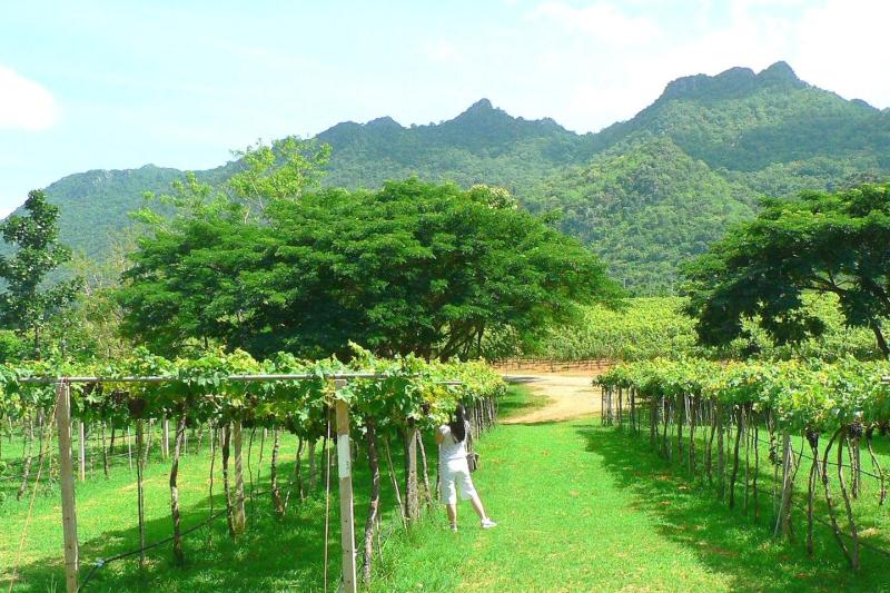 khao-yai-instagram-and-food-wine-tour-3