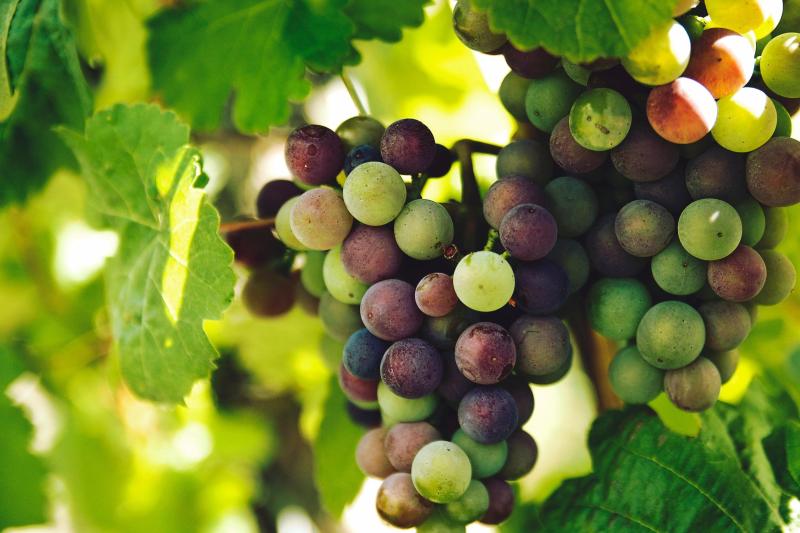 khao-yai-instagram-and-food-wine-tour-4