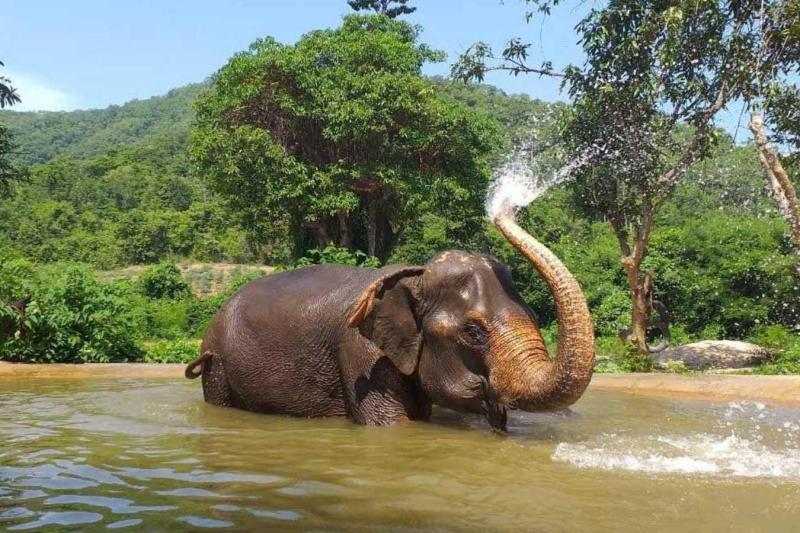 Thailand tour packages