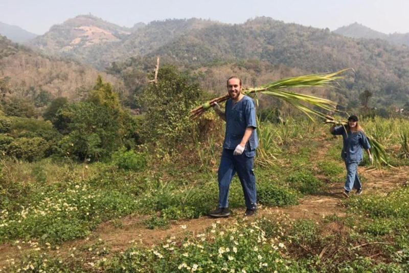 elephant-care-experience-3