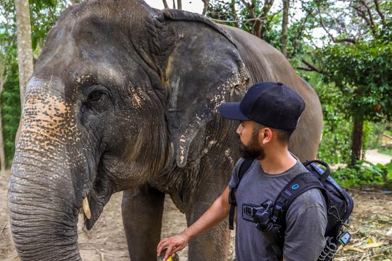 morning-with-the-elephants-4