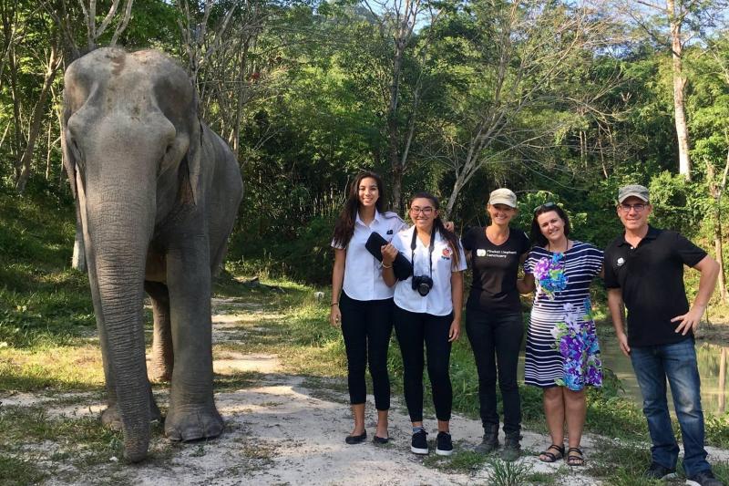 a-afternoon-with-the-elephants-4