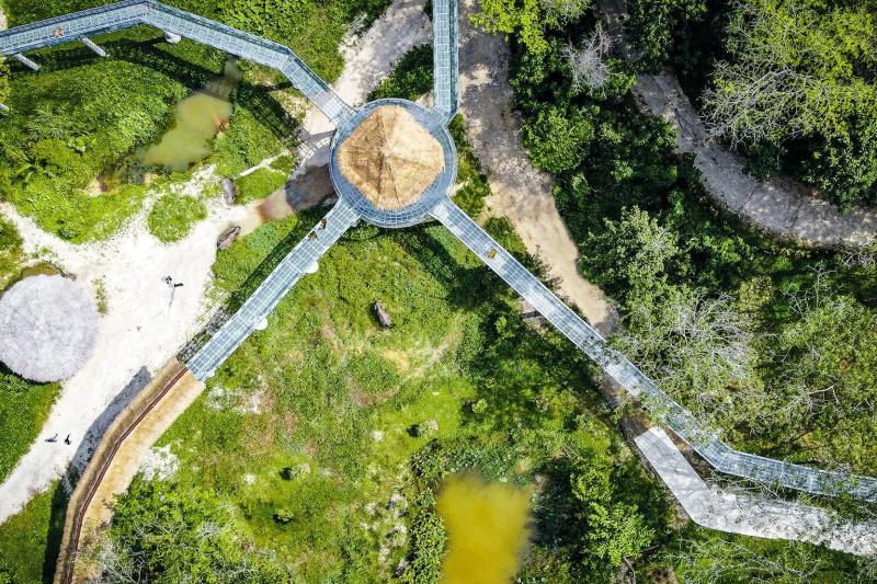 pes-canopy-walkway-program-1