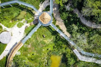 PES Canopy Walkway Program