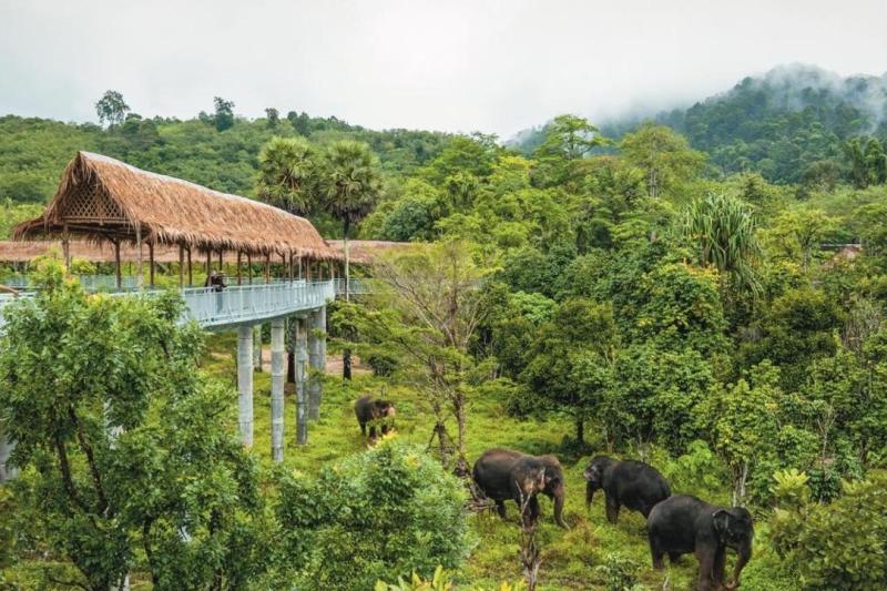 pes-canopy-walkway-program-3