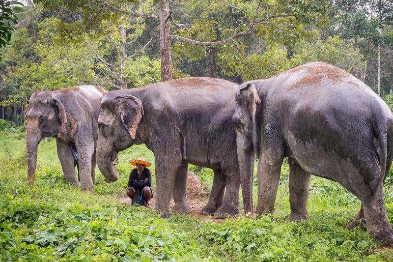 in-the-footsteps-of-giants-1