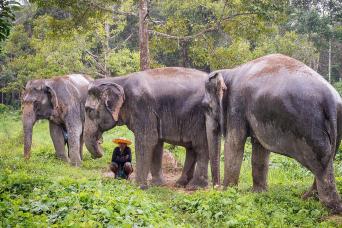 In the Footsteps of Giants