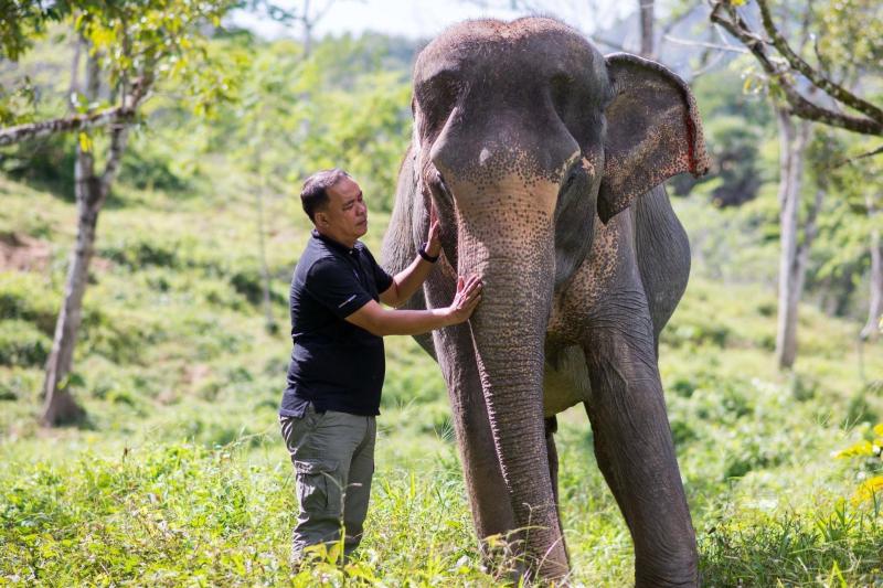 in-the-footsteps-of-giants-2